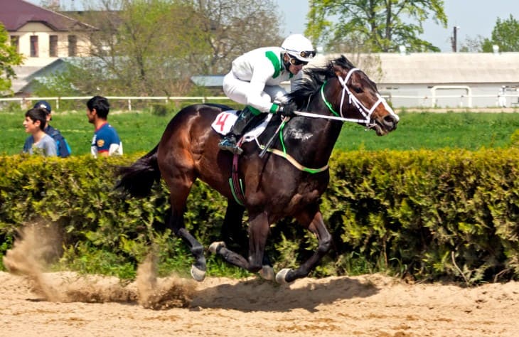 What is RPR in Horse Racing?