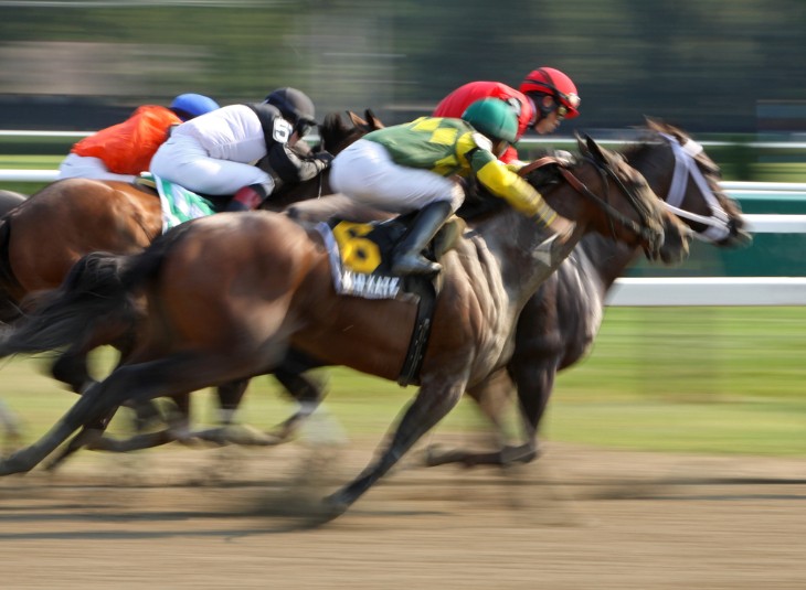 What is Soft Ground in Horse Racing?