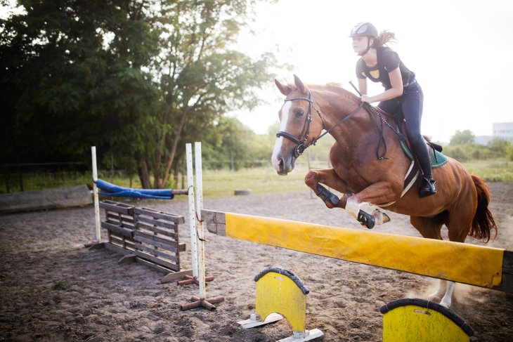 The Role of Women in UK Horse Racing