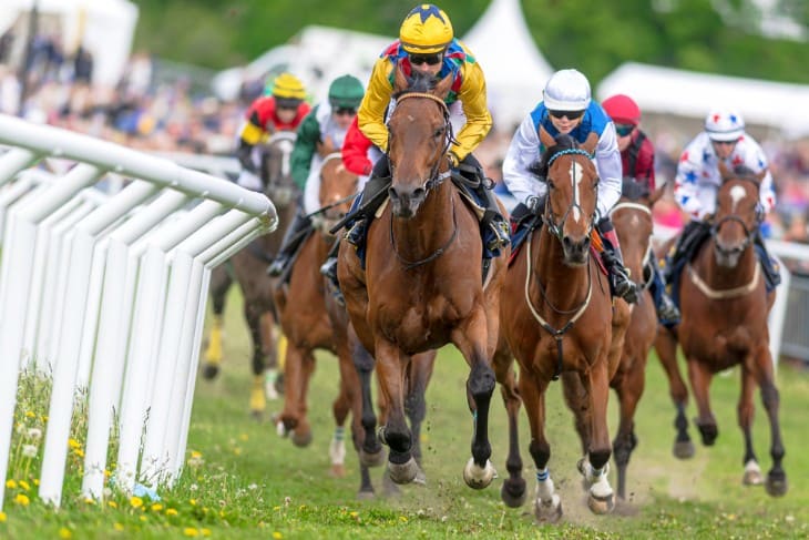 Yearling Health Care